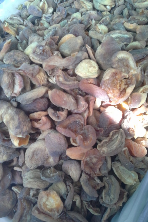 Kompostoluk Kayısı