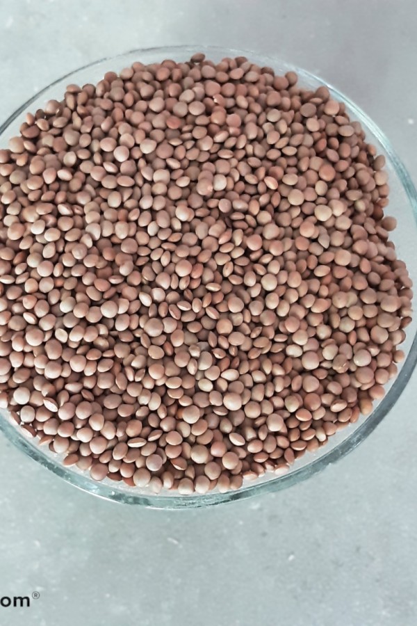 Ķabuklu mercimek 1kg