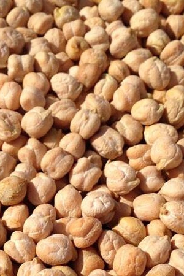 Malatya 1.sınıf nohut (1kg)