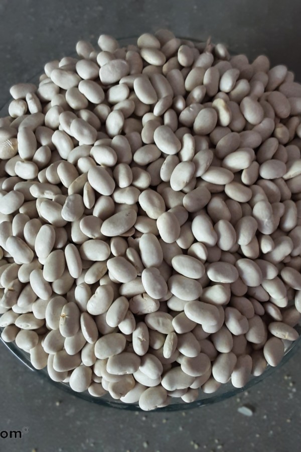 Malatya  Erkenek dermason fasulye 1kg