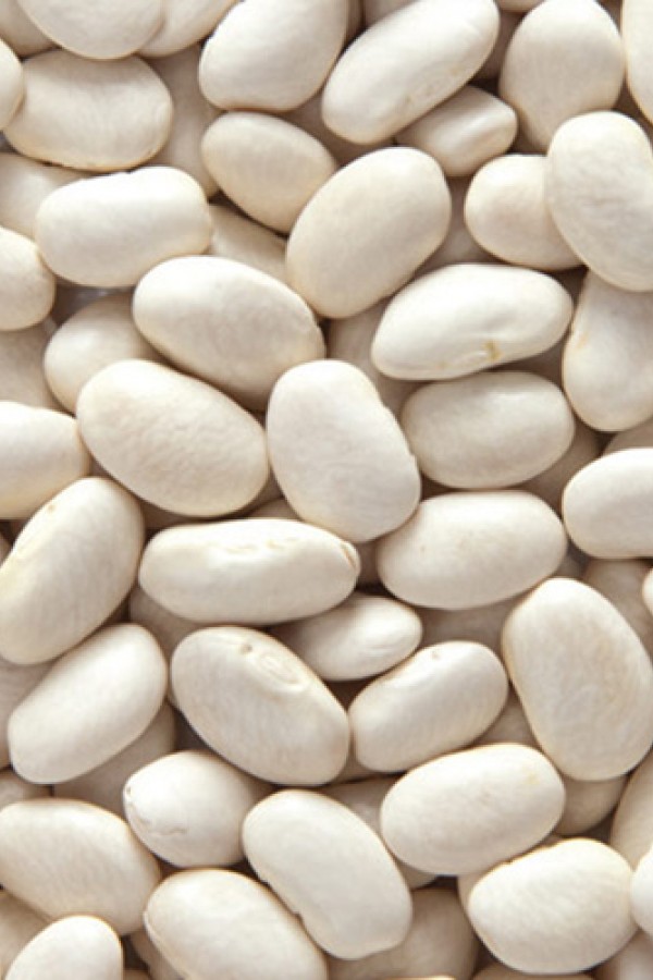 Erzincan Dermason Fasülye 1 kg