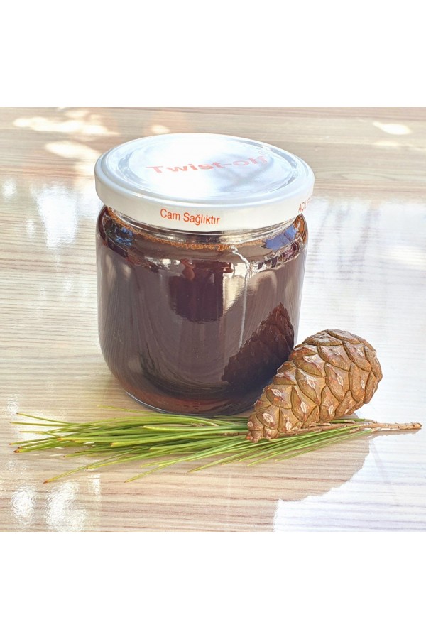 Çam Kozalağı Şurubu (Özü)  480 gr