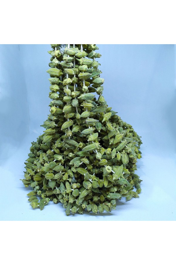 Kuru Çiçek Bamya - 1 Dizi