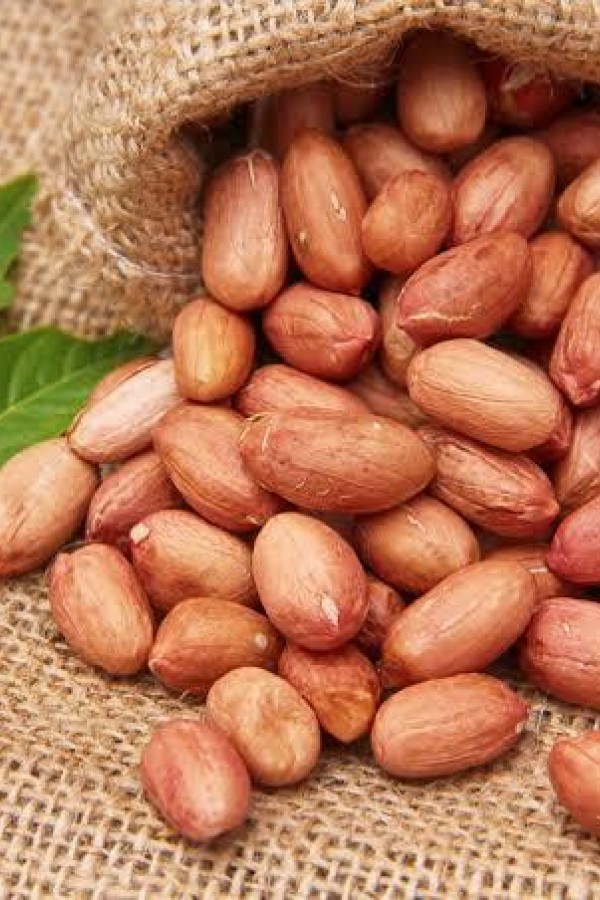 Yer fıstığı (ciğ)