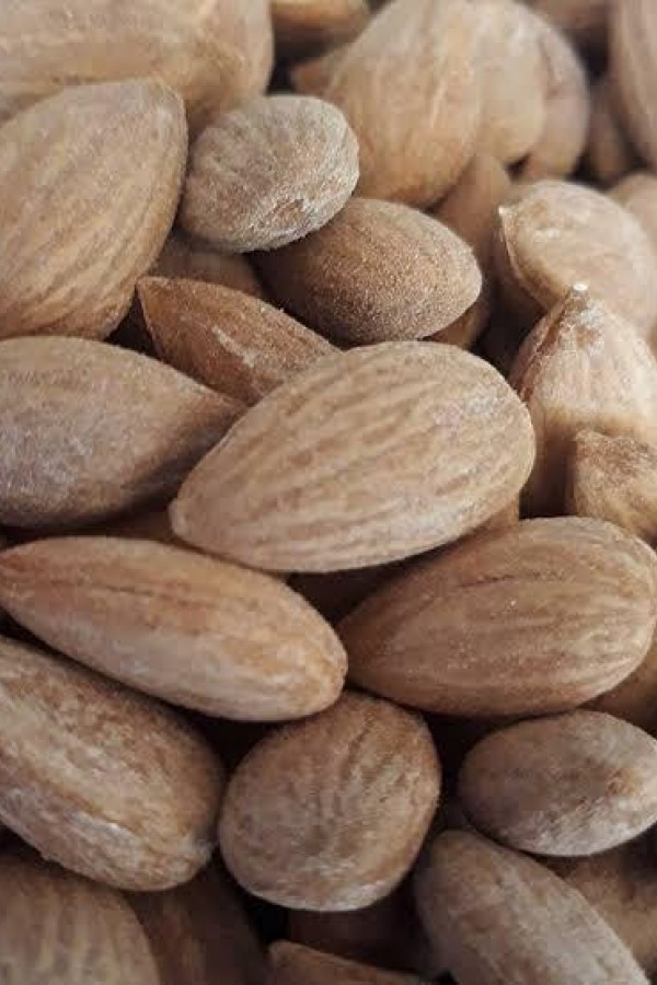 Kavrulmuş Gün Kurusu Kayısı Çekirdeği 1 kg