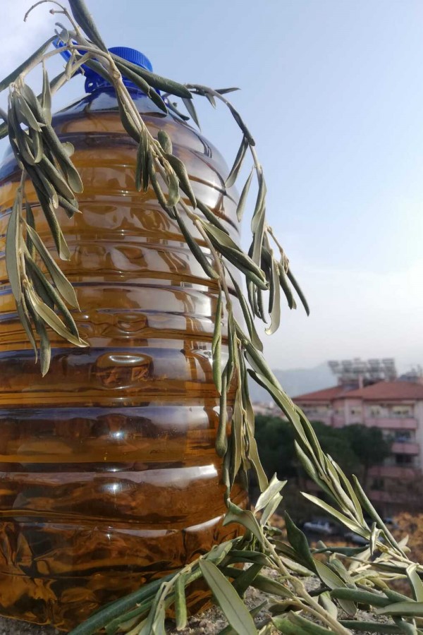 Hakiki Organik Zeytinyağı 5LT